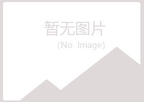 龙泉夏青能源有限公司